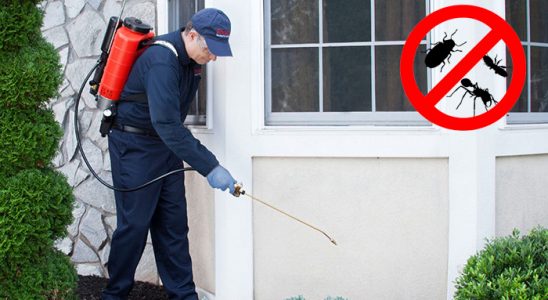 Bayramiç Gümüşkurt İlaçlama böcek ilaçlama ve haşere kontrolü — ilaclama-tr.com